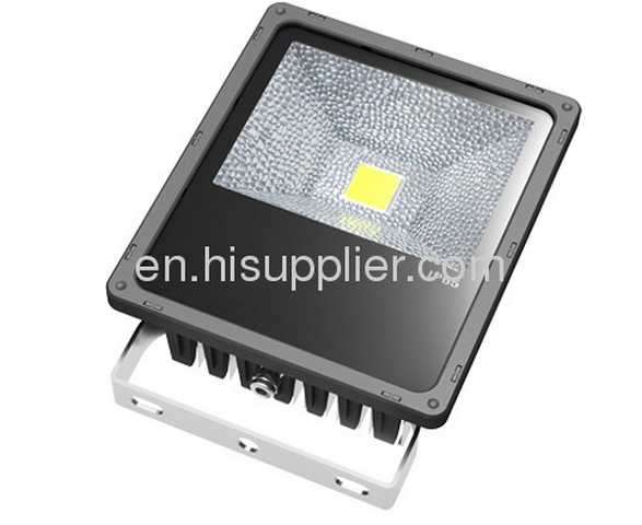 LED floodlight